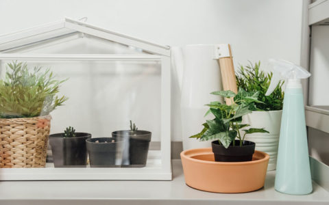 MiniGewächshaus anlegen So gelingt dein Urban Garden im Miniformat
