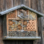 Header Insektenhotel bauen