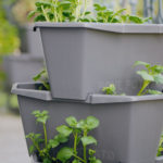 Kartoffelturm PAUL POTATO / Potato Pot / Kartoffel-Anzuchtset