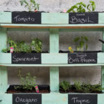 Header Kräuterregal selber bauen