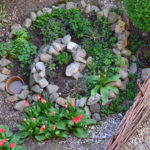 Header Mini-Gartenteich anlegen und bepflanzen