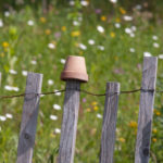 Header Naturgarten anlegen