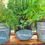 Pflanzschilder selber machen