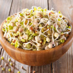 Header Sprossen züchten mit Sprossensamen