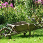 Header 10 Tipps für Gartenanfänger