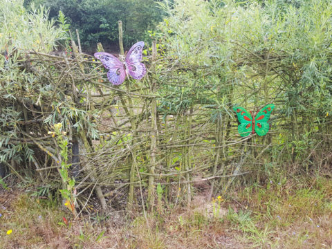 Naturgarten anlegen mit unseren Tipps Paradies für Nützlinge schaffen
