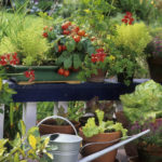 Header Beetplaner Gemüse auf dem Balkon