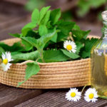 Header Beetplaner Heilkräuterbeet