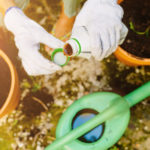 Header Blumenbeet düngen