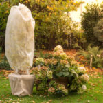 Header Gartenkalender Dezember