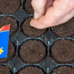 Header Gartenkalender Februar