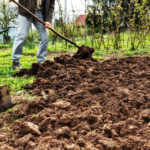 Header Gemüsebeet anlegen