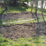 Kleine Gemüsebeet anlegen Per Beetplaner wenig Platz optimal nutzen