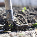 header Boden umgraben / Boden verbessern