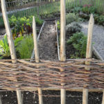 Header Kräuterbeet für Anfänger