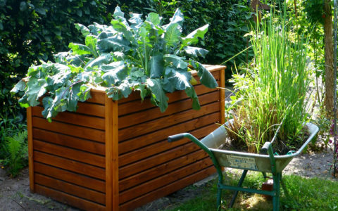 Hochbeet & Kübel bepflanzen mit Tipps vom Gartenprofi Einfaches Gärtnern