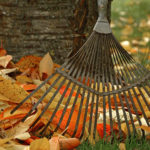 Header Gartenkalender Oktober