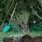 Header Gartenkalender September