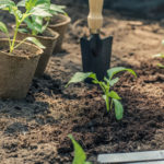 Header Gartenkalender Mai