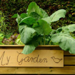 Header Mischkultur anlegen