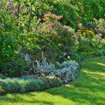 Header Pflanzplan für dein Staudenbeet