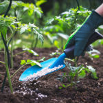 Header Richtig Düngen