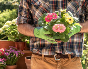 Gartenkalender und Pflanzpläne für dein Gartenjahr Januar bis Dezember
